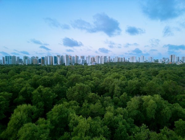 Pourquoi est-il important d'encourager l'enseignement STEM chez les filles dès le plus jeune âge ?